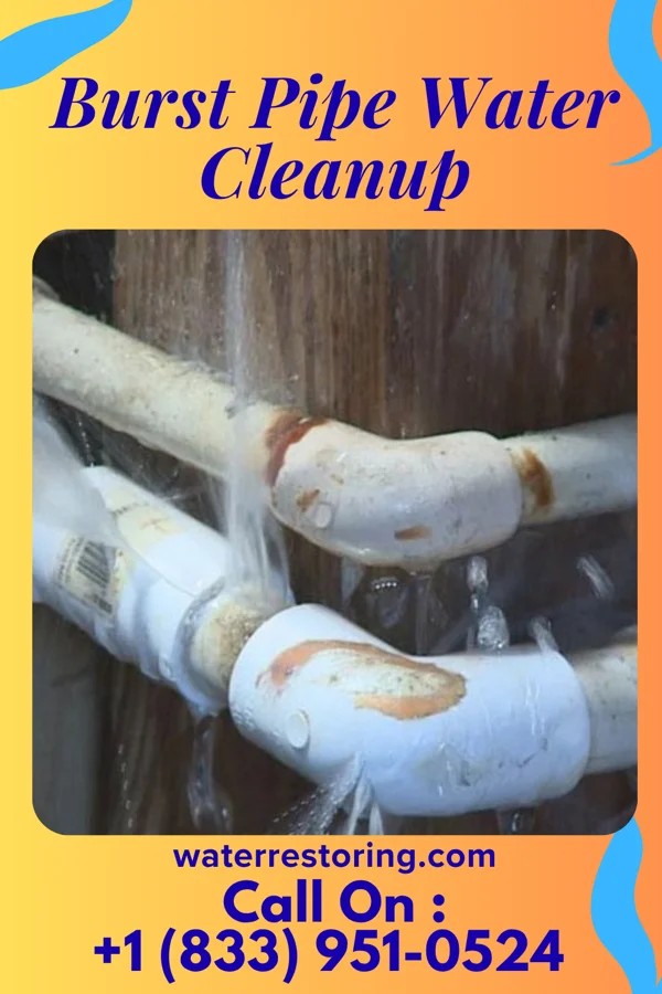 Burst Pipe Water Cleanup in Tullahoma, TN