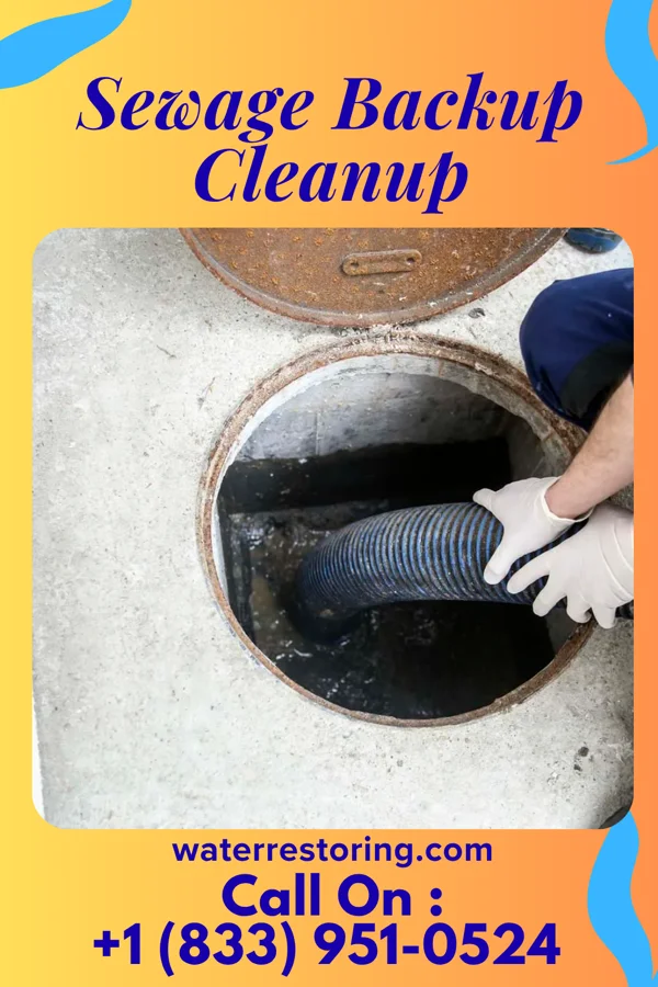 Sewage Backup Cleanup in Tullahoma, TN