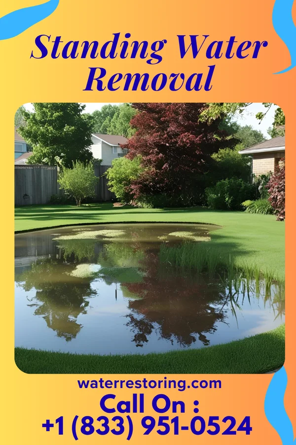 Standing Water Removal in Tullahoma, TN